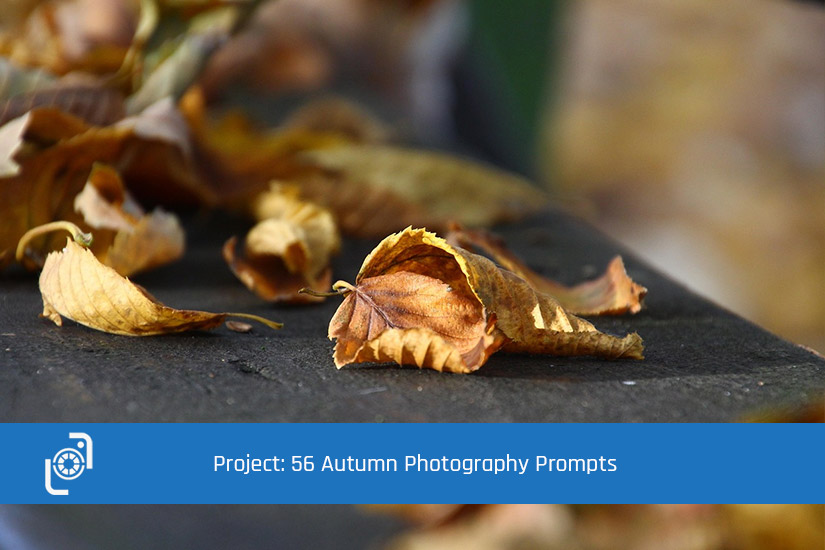 56 Autumn Photography Prompts