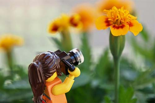 Lego photographer